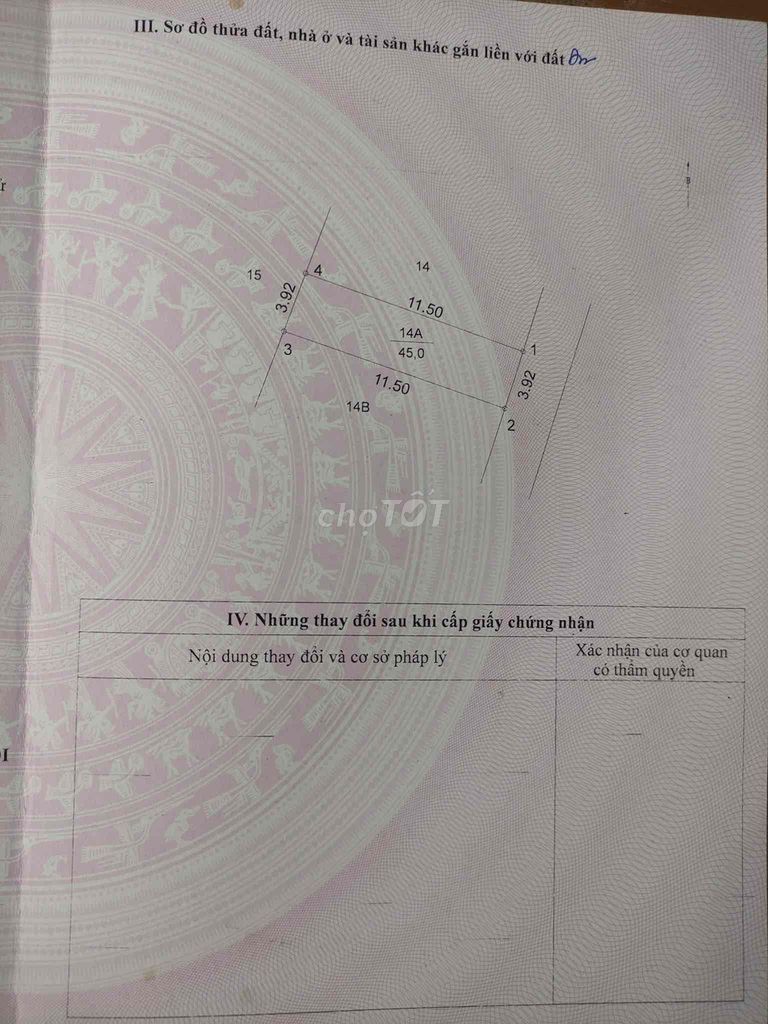 4076327 ảnh đại diện 1