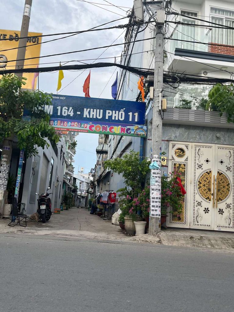 4075706 ảnh đại diện 2