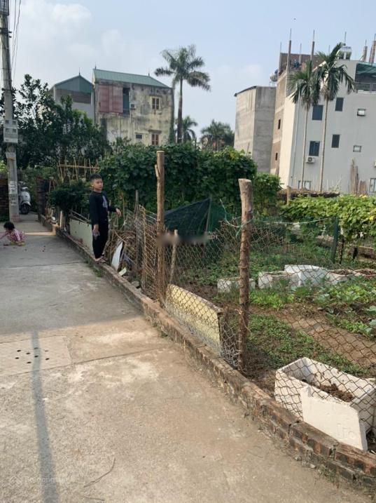 4079273 ảnh đại diện 1