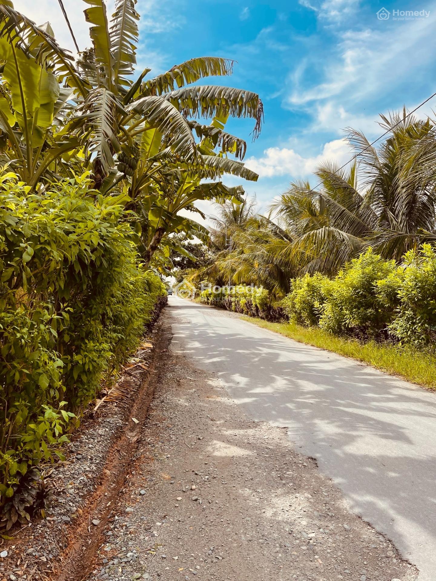 4075662 ảnh đại diện 2