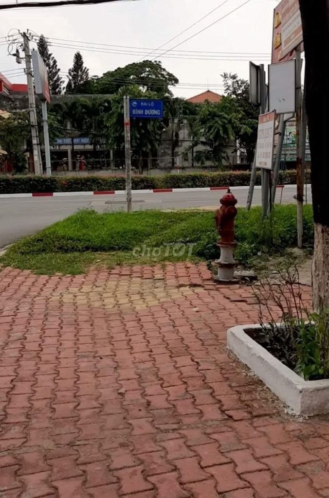 4079019 ảnh đại diện 1