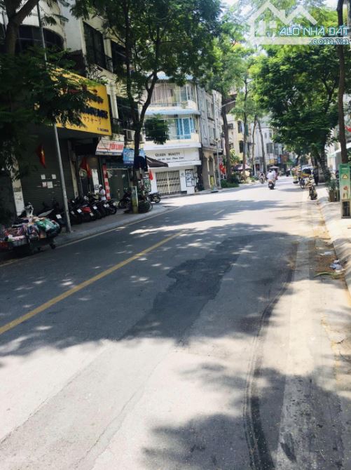 4075170 ảnh đại diện 1