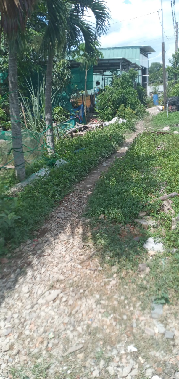 4078295 ảnh đại diện 1