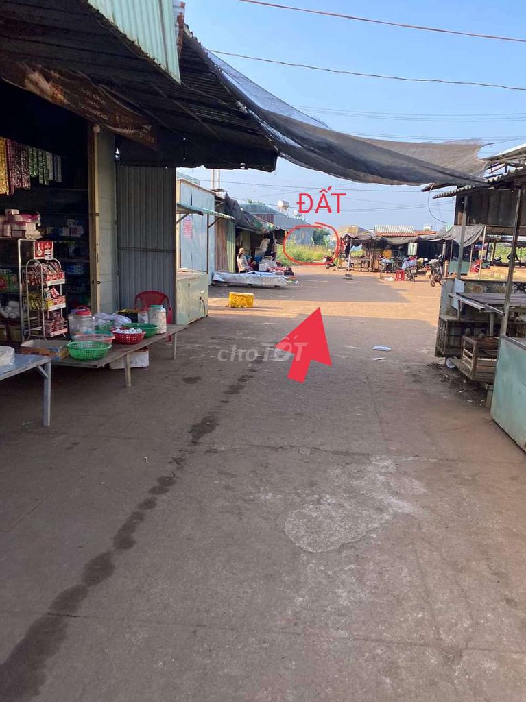 4079011 ảnh đại diện 1