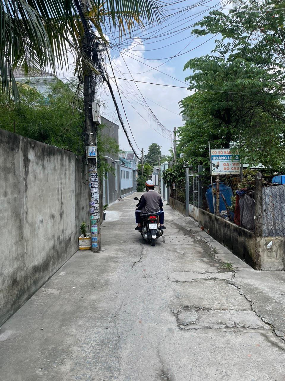 4077549 ảnh đại diện 1