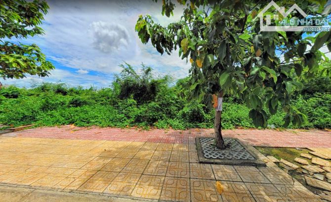 4075999 ảnh đại diện 2