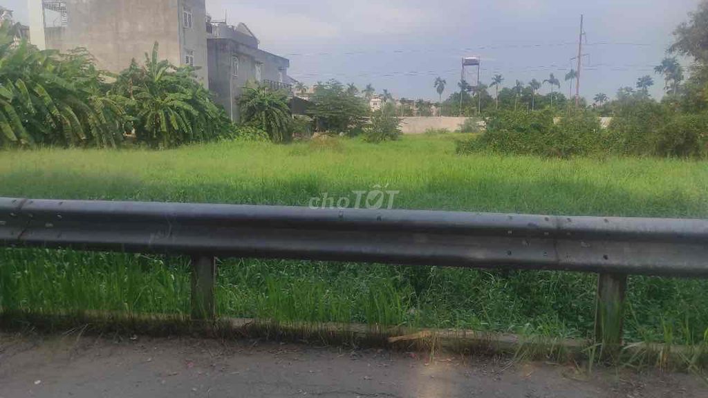 4080150 ảnh đại diện 1