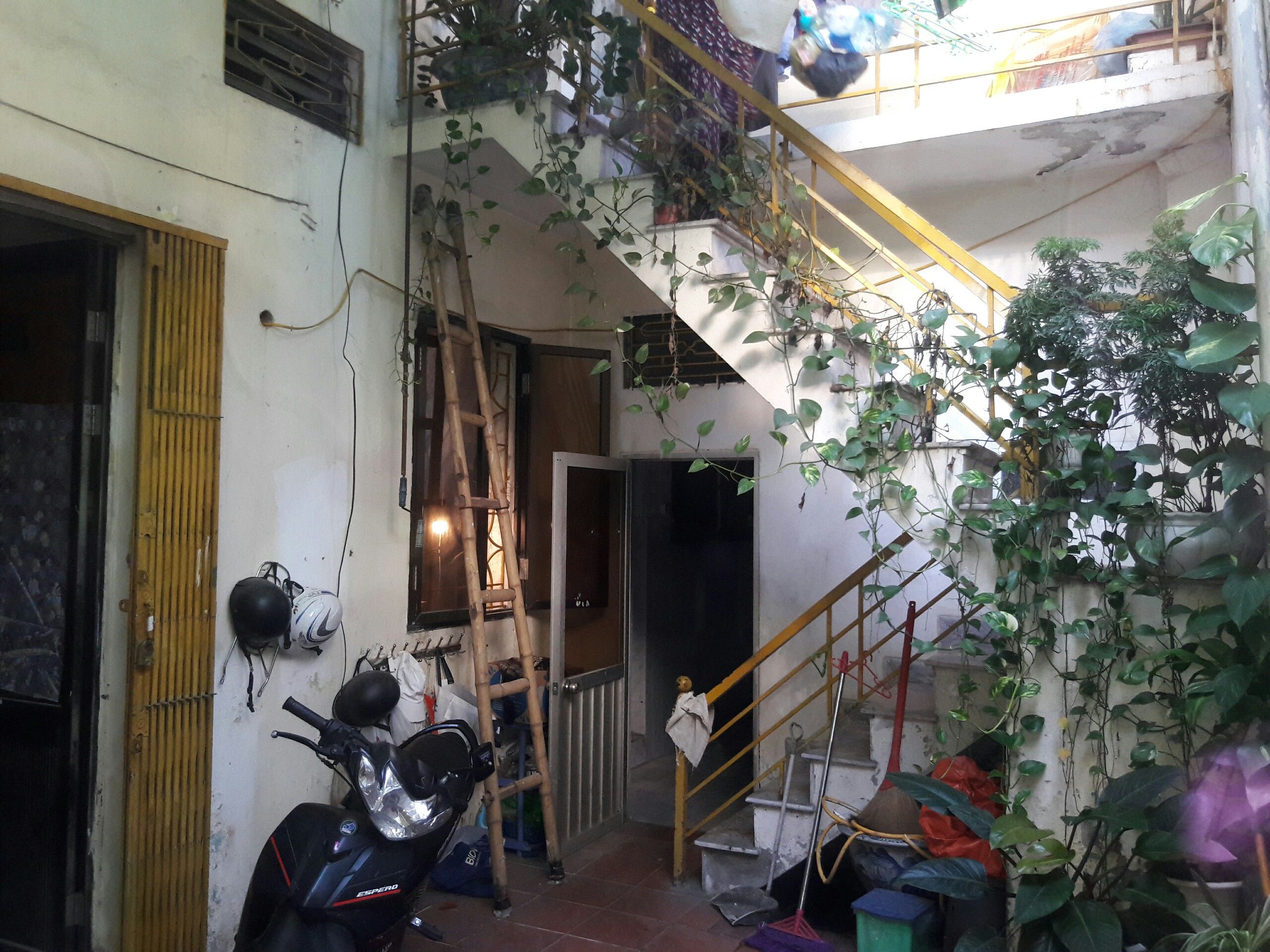 4083146 ảnh đại diện 1