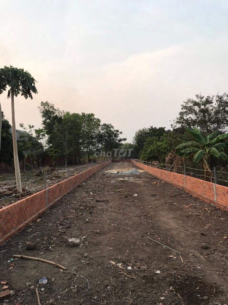 4080915 ảnh đại diện 2