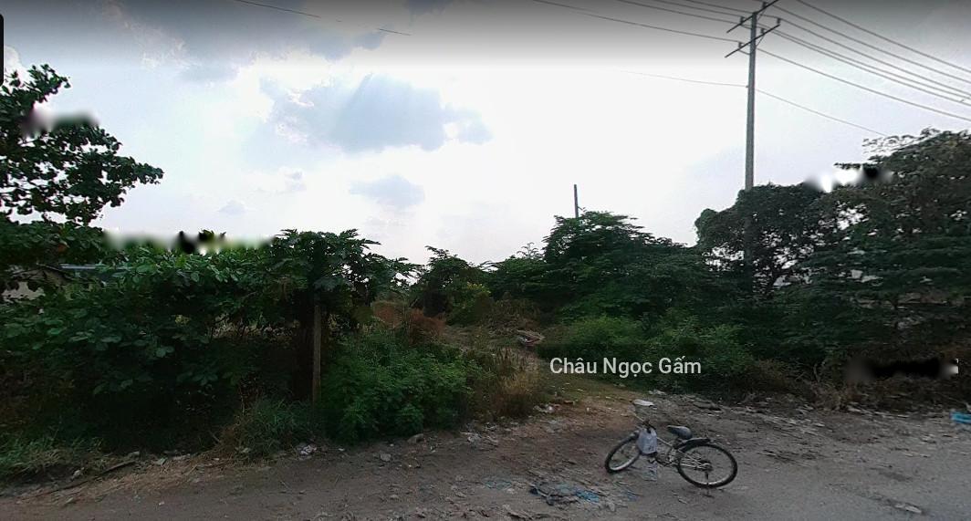 4082405 ảnh đại diện 1