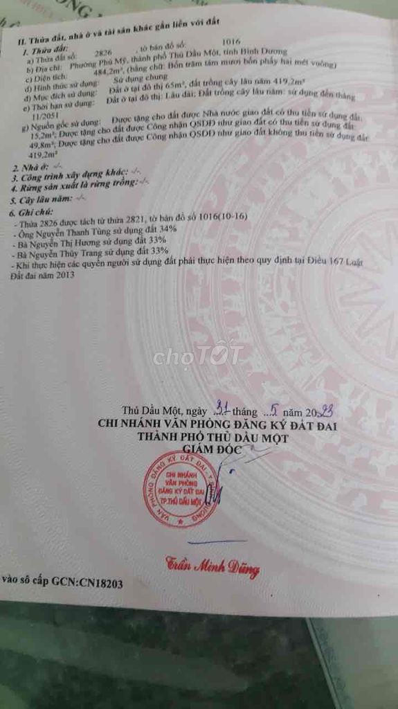 4081152 ảnh đại diện 2