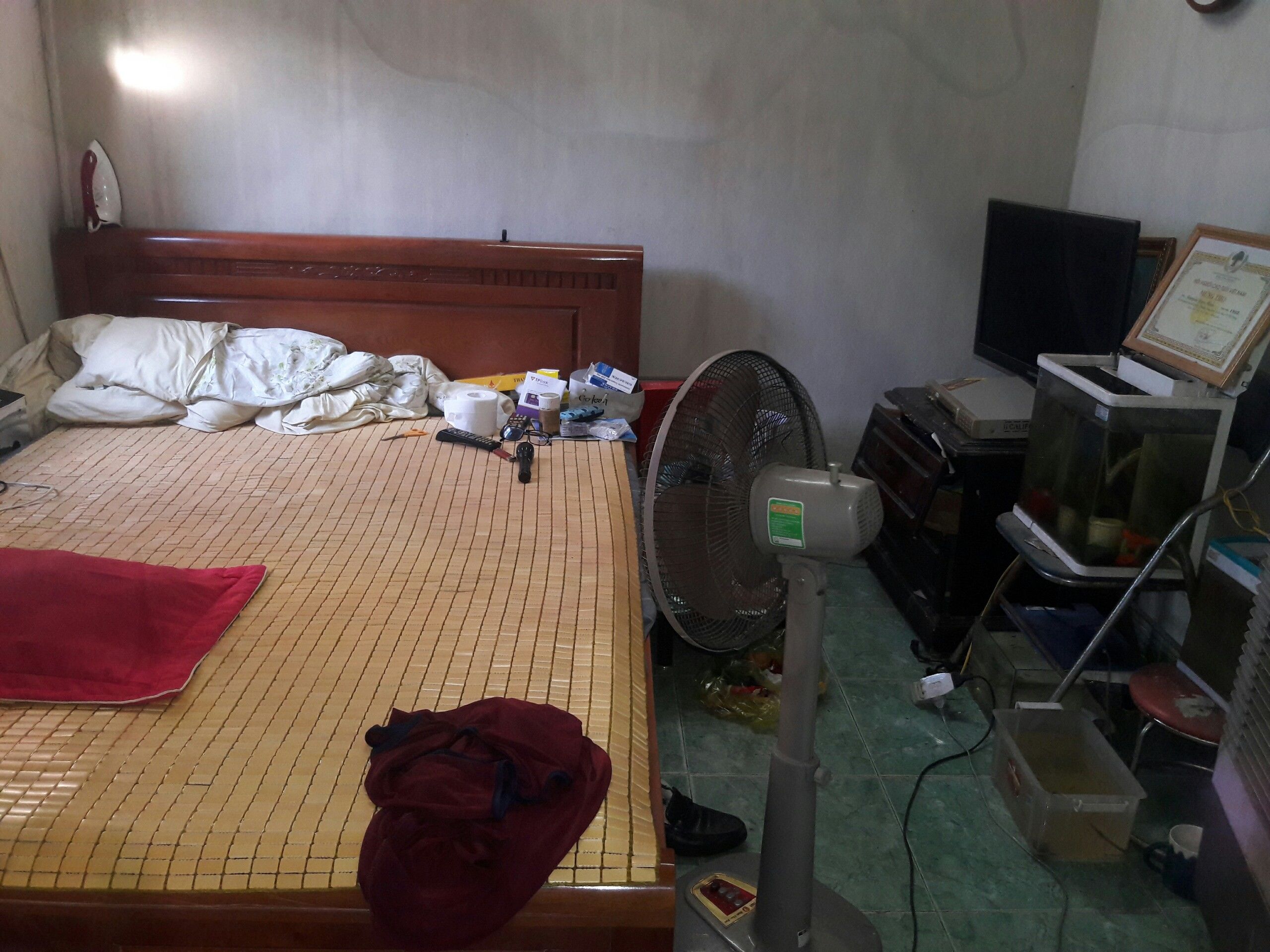 4083146 ảnh đại diện 2