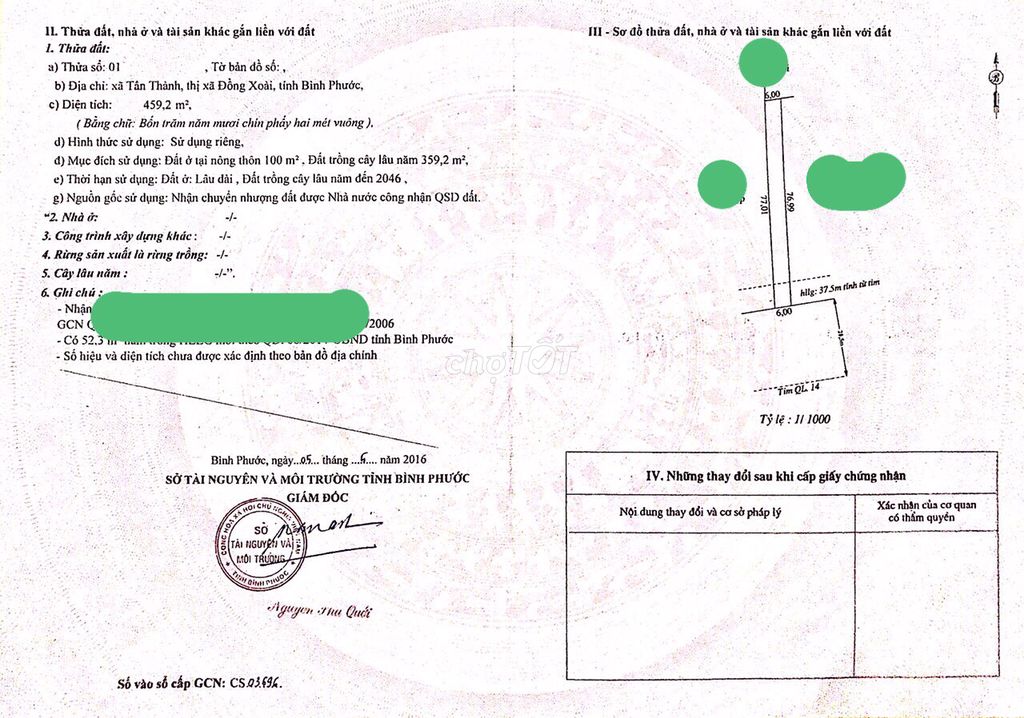 4080915 ảnh đại diện 1