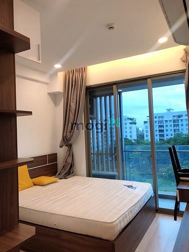 4082293 ảnh đại diện 2