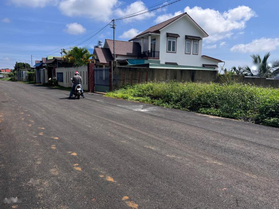4082359 ảnh đại diện 1