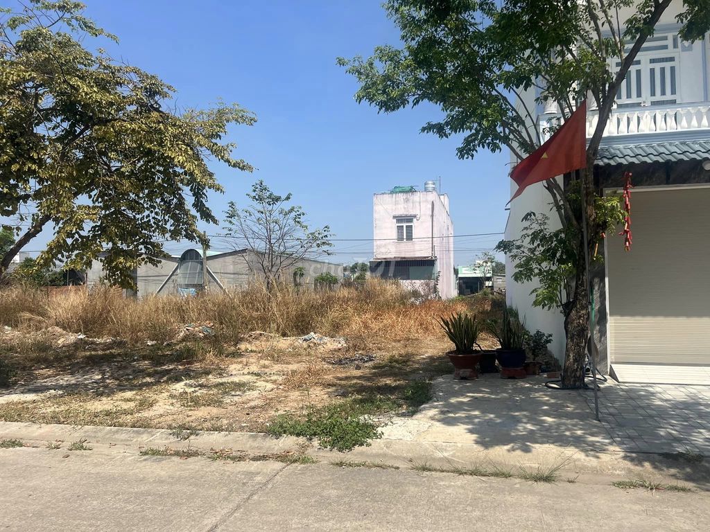4082592 ảnh đại diện 1