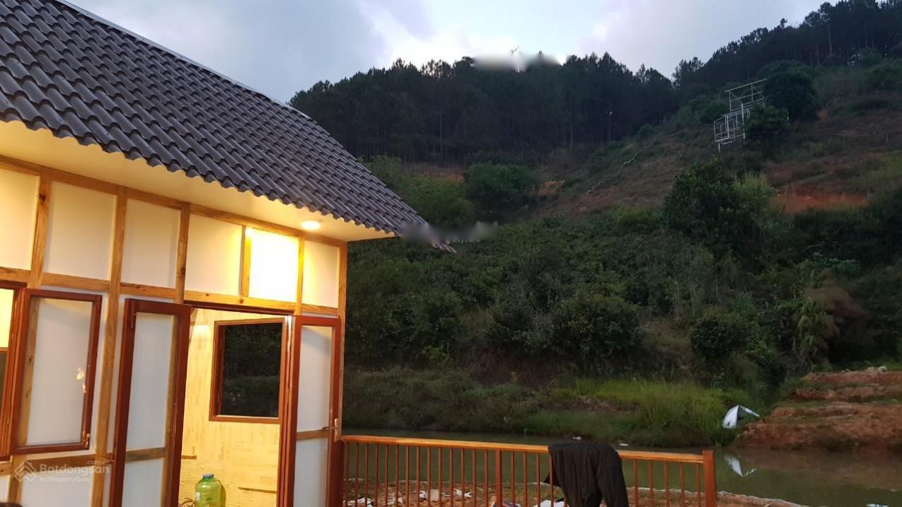4082741 ảnh đại diện 1