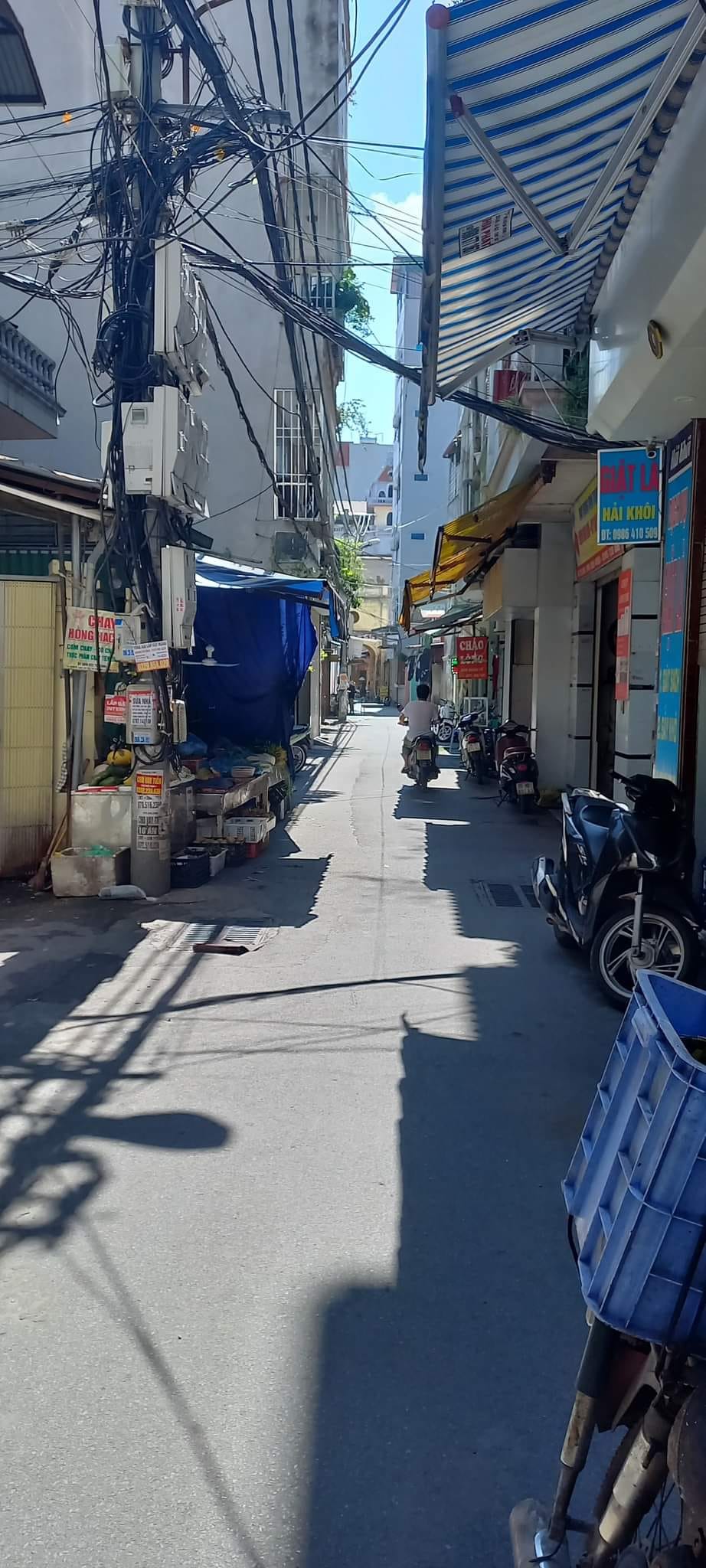 4081221 ảnh đại diện 1