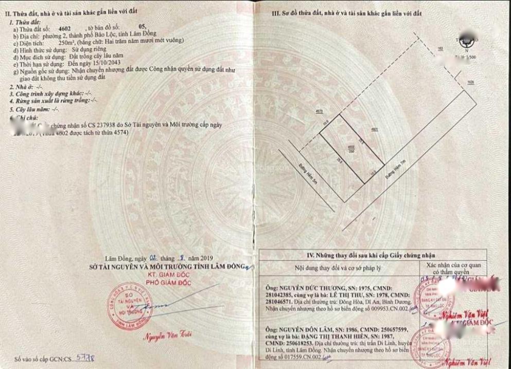 4082358 ảnh đại diện 2