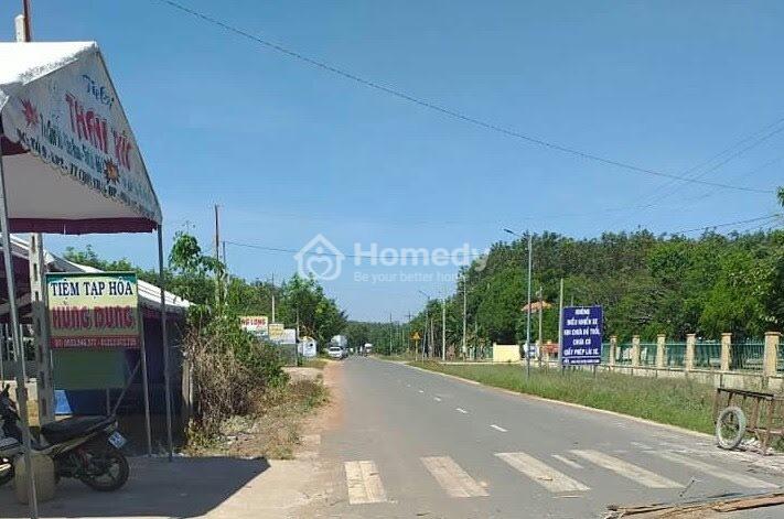 4081020 ảnh đại diện 1