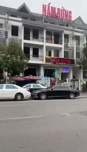 4083078 ảnh đại diện 2