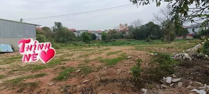 4086521 ảnh đại diện 1