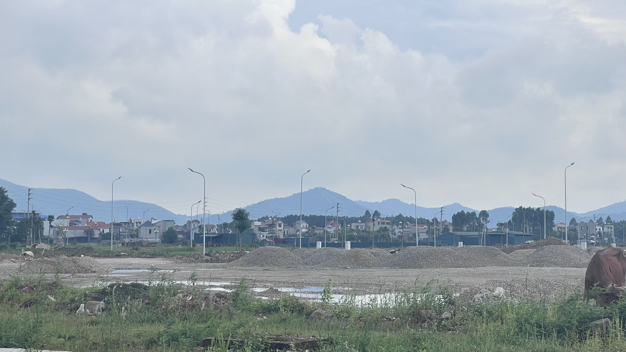 4086137 ảnh đại diện 2