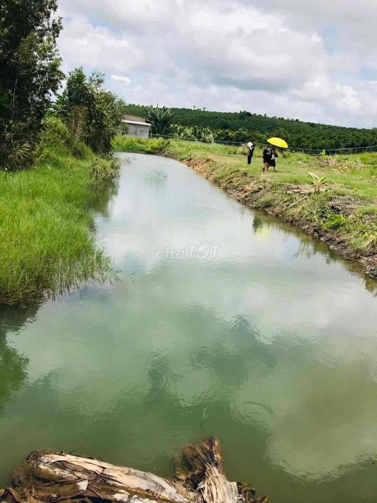 4085967 ảnh đại diện 1
