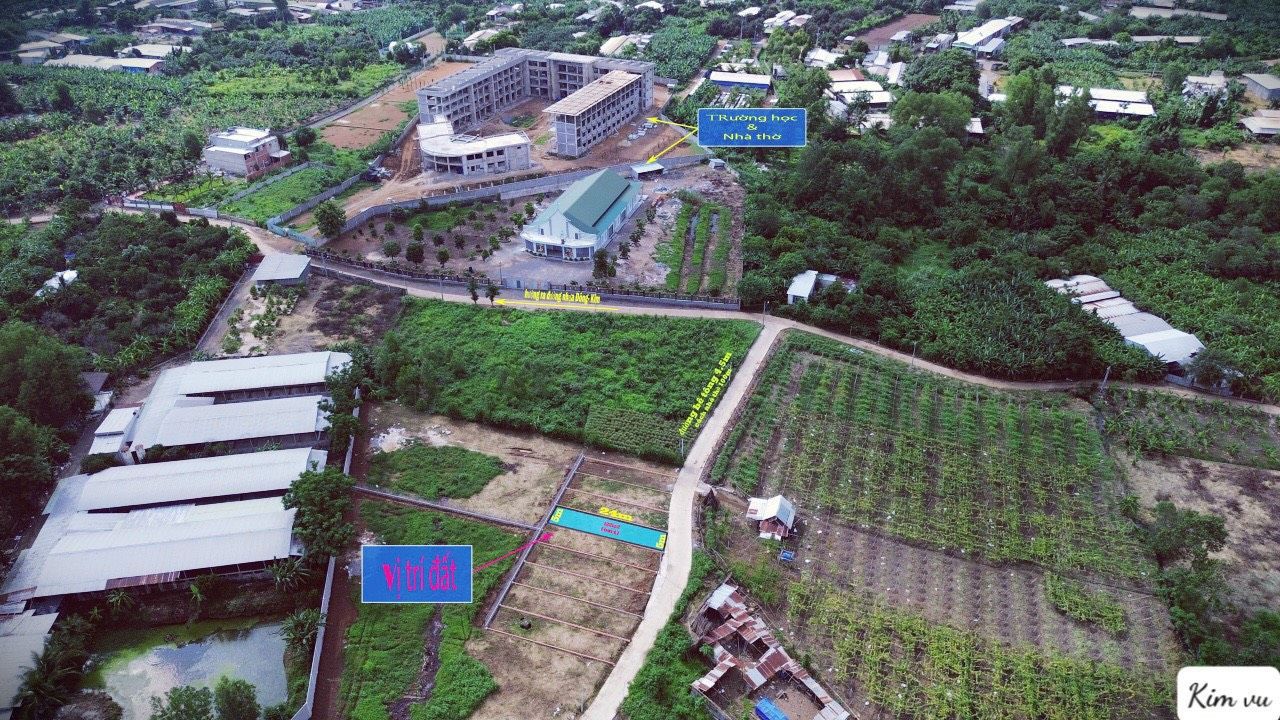 4084282 ảnh đại diện 1