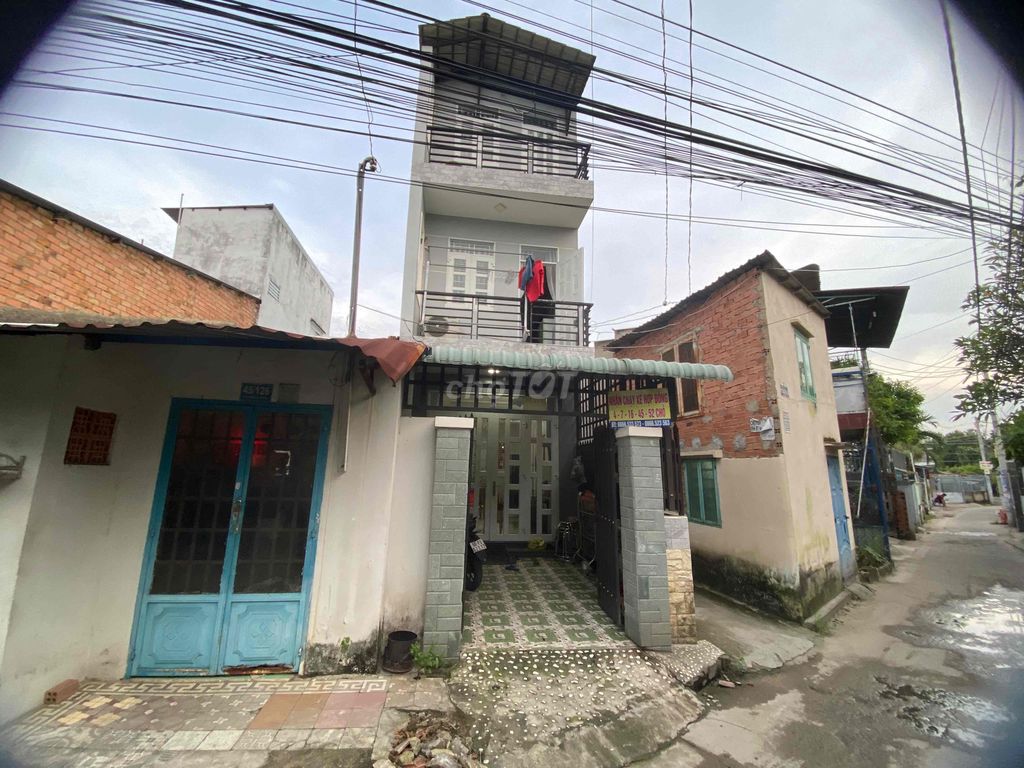 4083542 ảnh đại diện 2