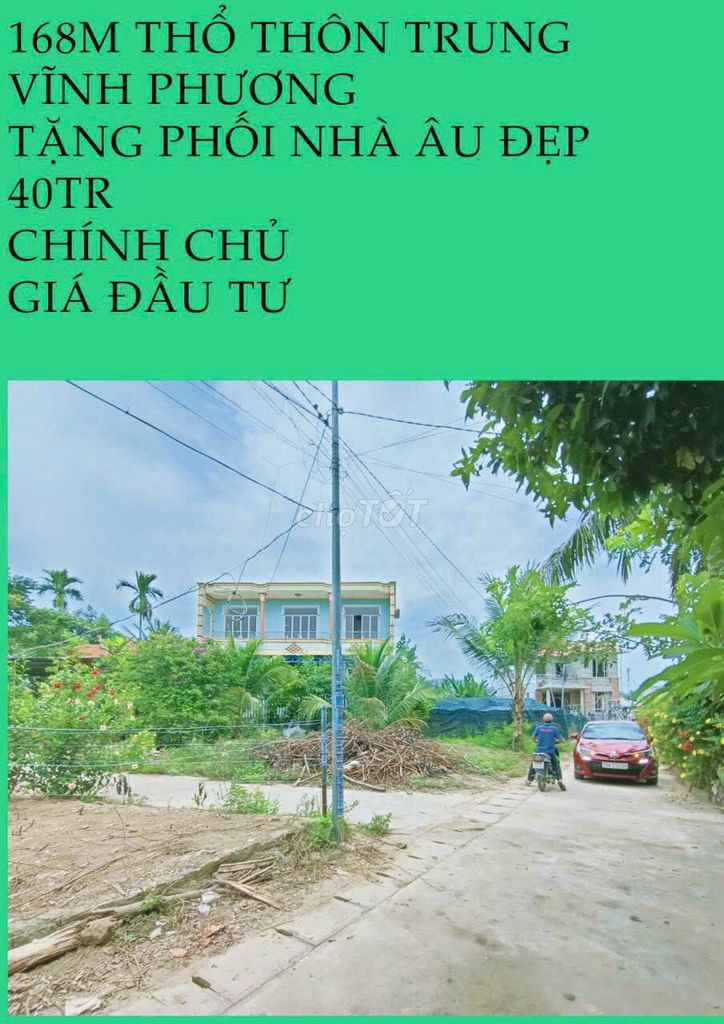 4087319 ảnh đại diện 1