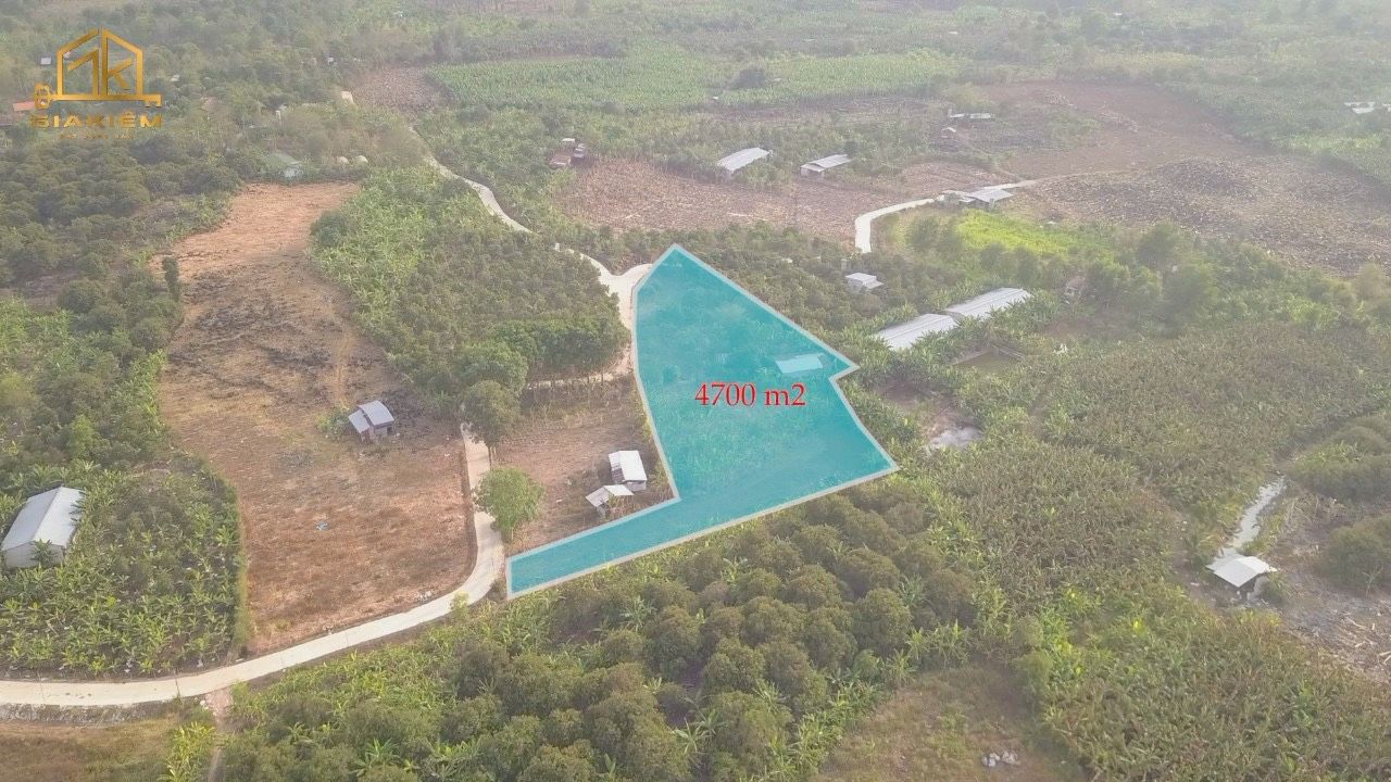4084284 ảnh đại diện 1