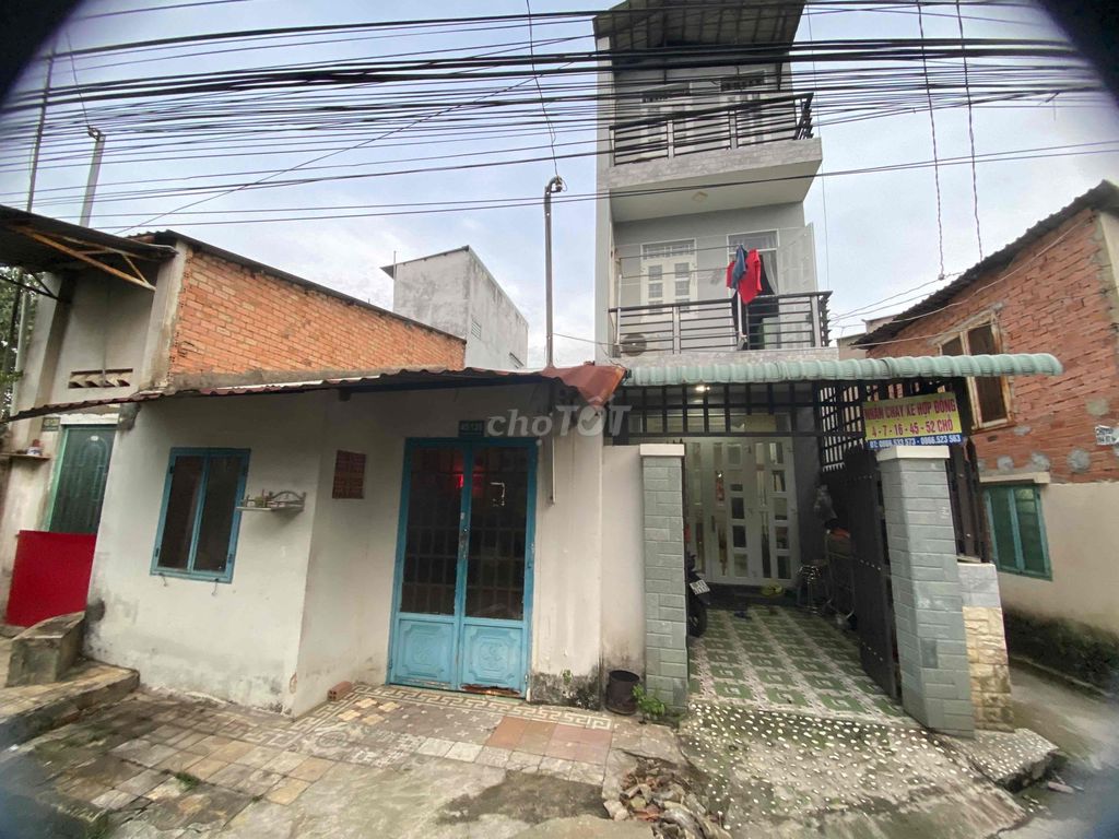 4083542 ảnh đại diện 1