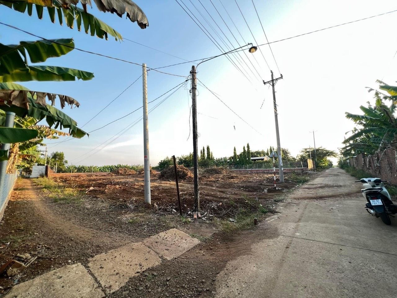 4084297 ảnh đại diện 1