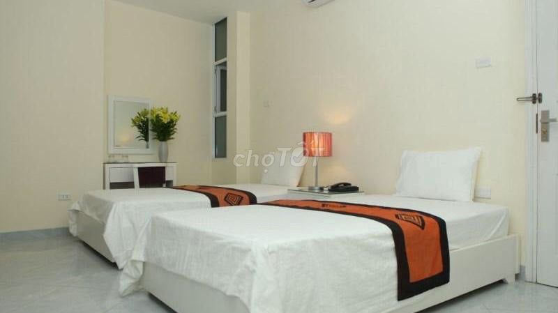 4087007 ảnh đại diện 1