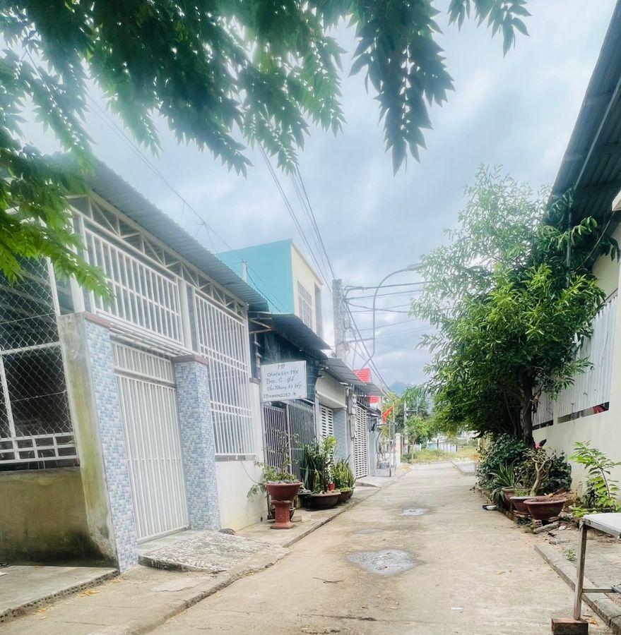 4086133 ảnh đại diện 1