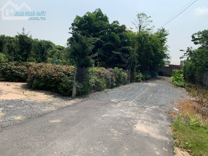 4085085 ảnh đại diện 1