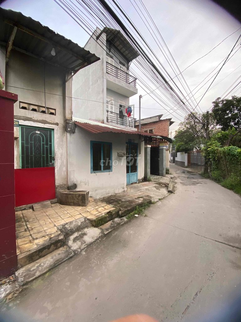 4083542 ảnh đại diện 1