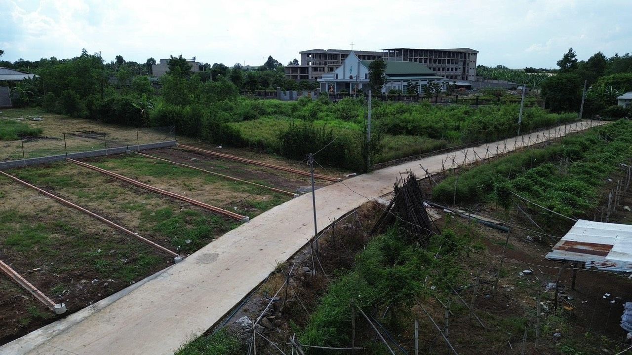 4084282 ảnh đại diện 2