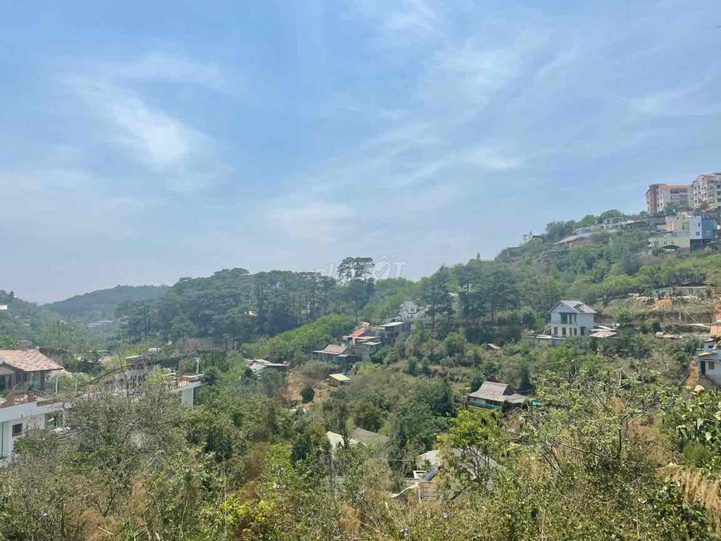 4085100 ảnh đại diện 2