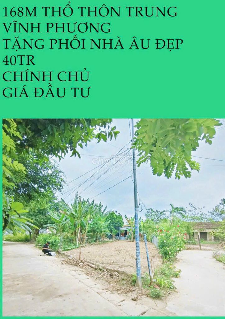 4087319 ảnh đại diện 1