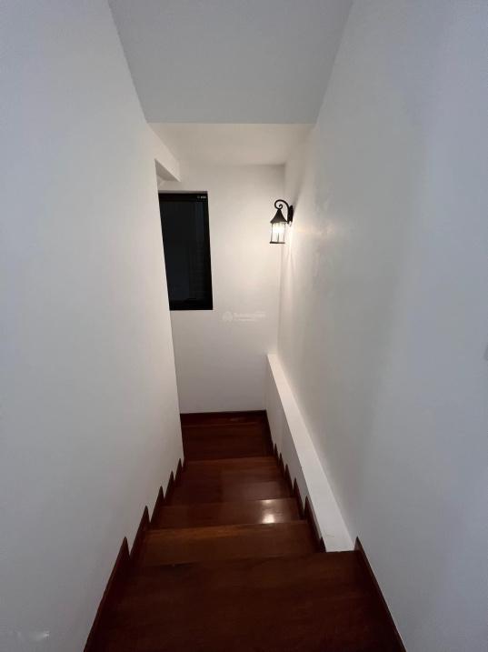 4084447 ảnh đại diện 2