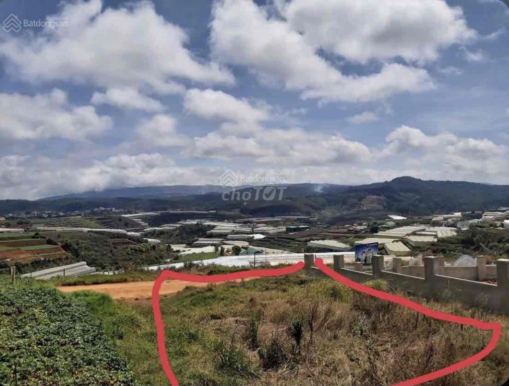 4085967 ảnh đại diện 1