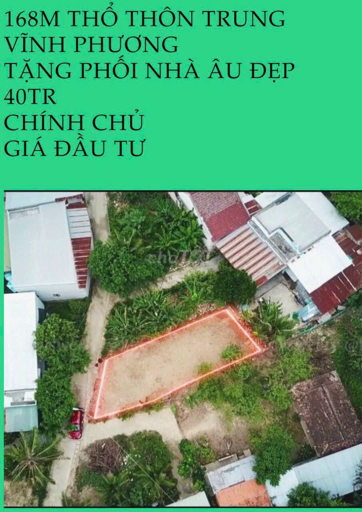 4087319 ảnh đại diện 2