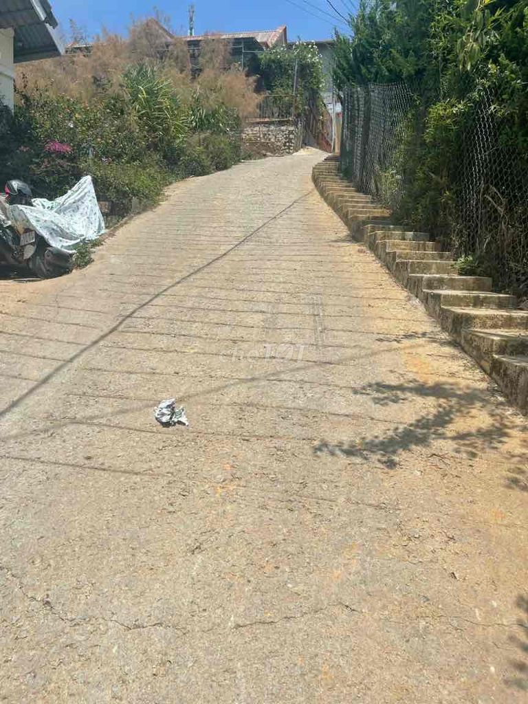 4085100 ảnh đại diện 1