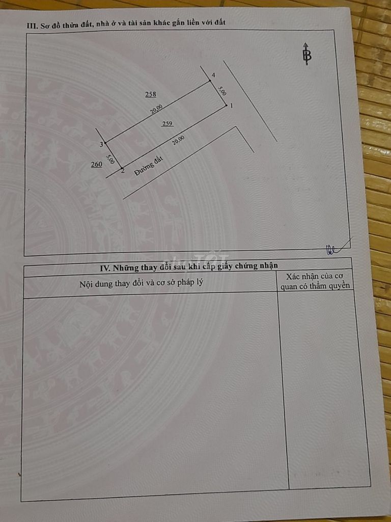4086674 ảnh đại diện 1