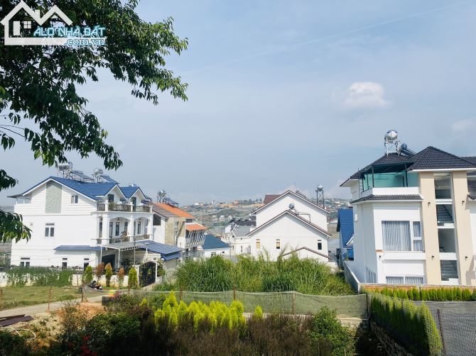 4090099 ảnh đại diện 1