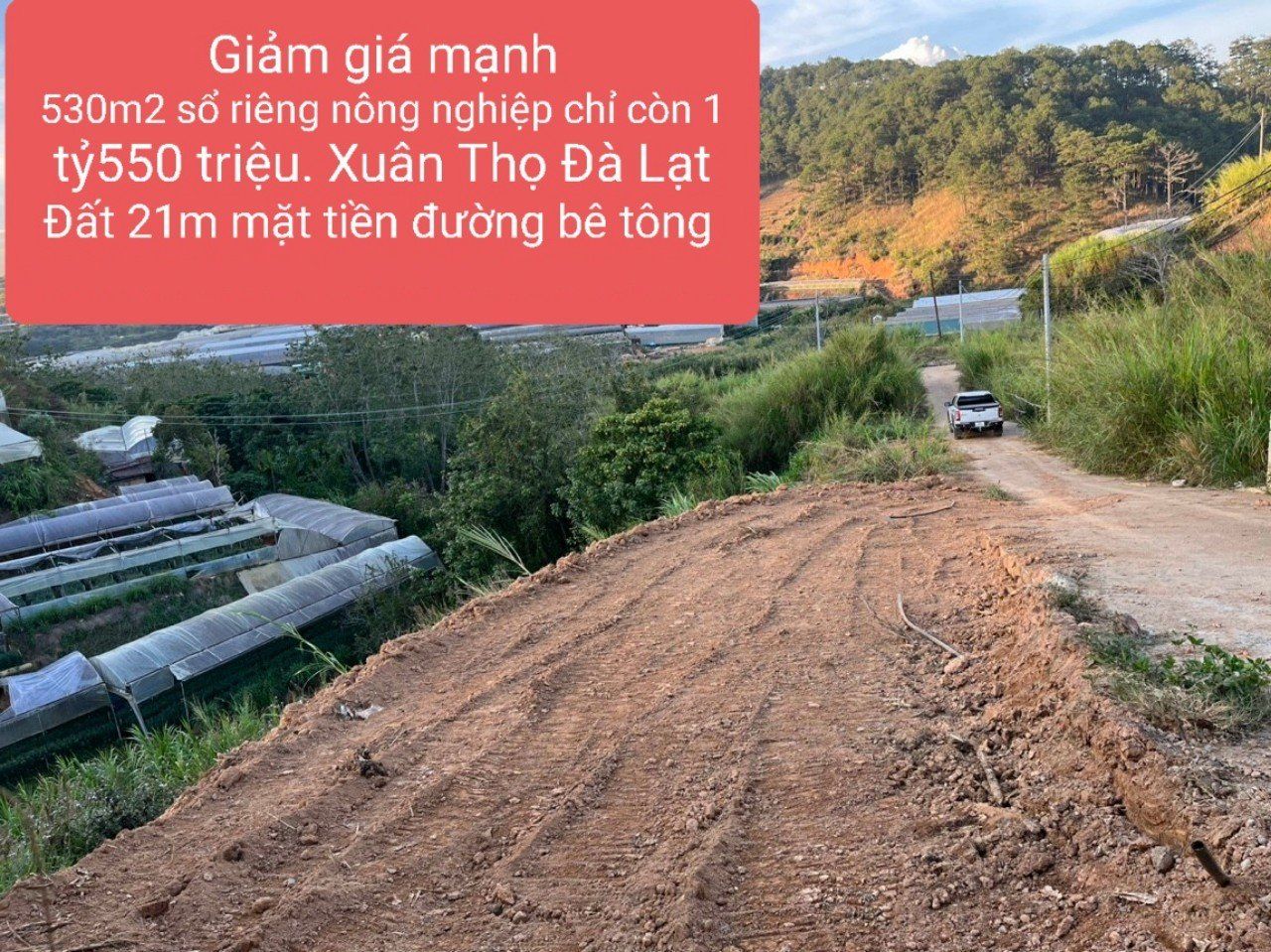 4090678 ảnh đại diện 1
