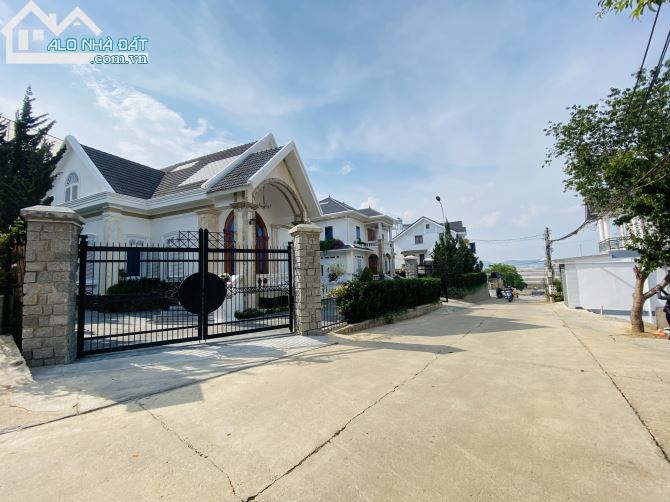 4090099 ảnh đại diện 1