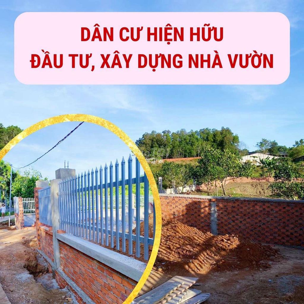 4089095 ảnh đại diện 1